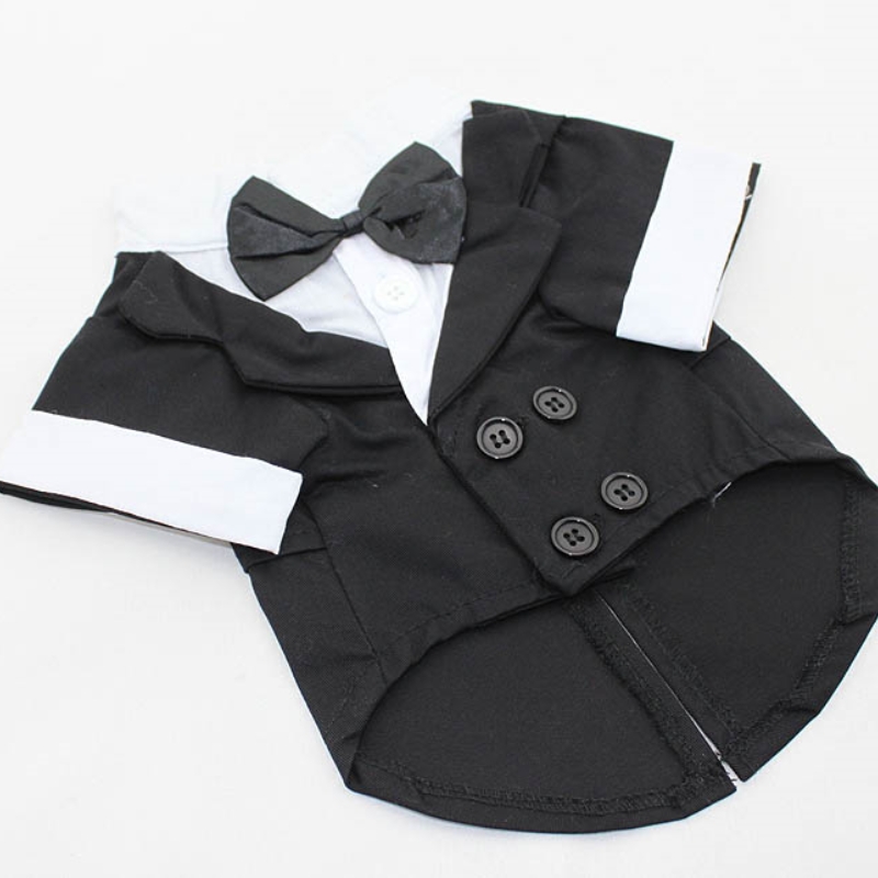 Dog Shirt Puppy Clothes, Pet W - Summer Dog Clothing review and price