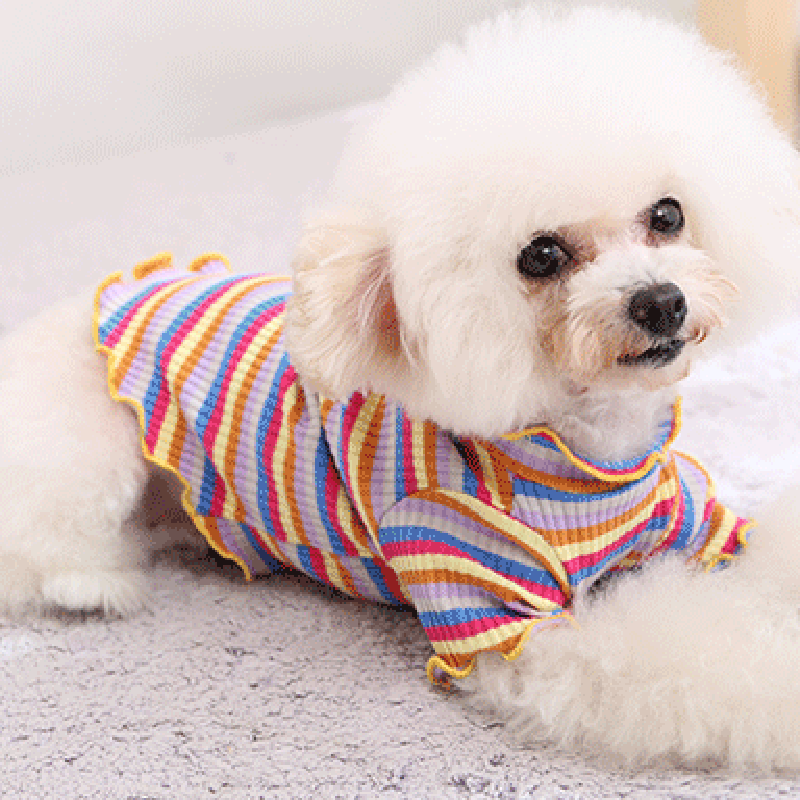 Pet Dog Clothes Puppy Vest T-s - Summer Dog Clothing review and price