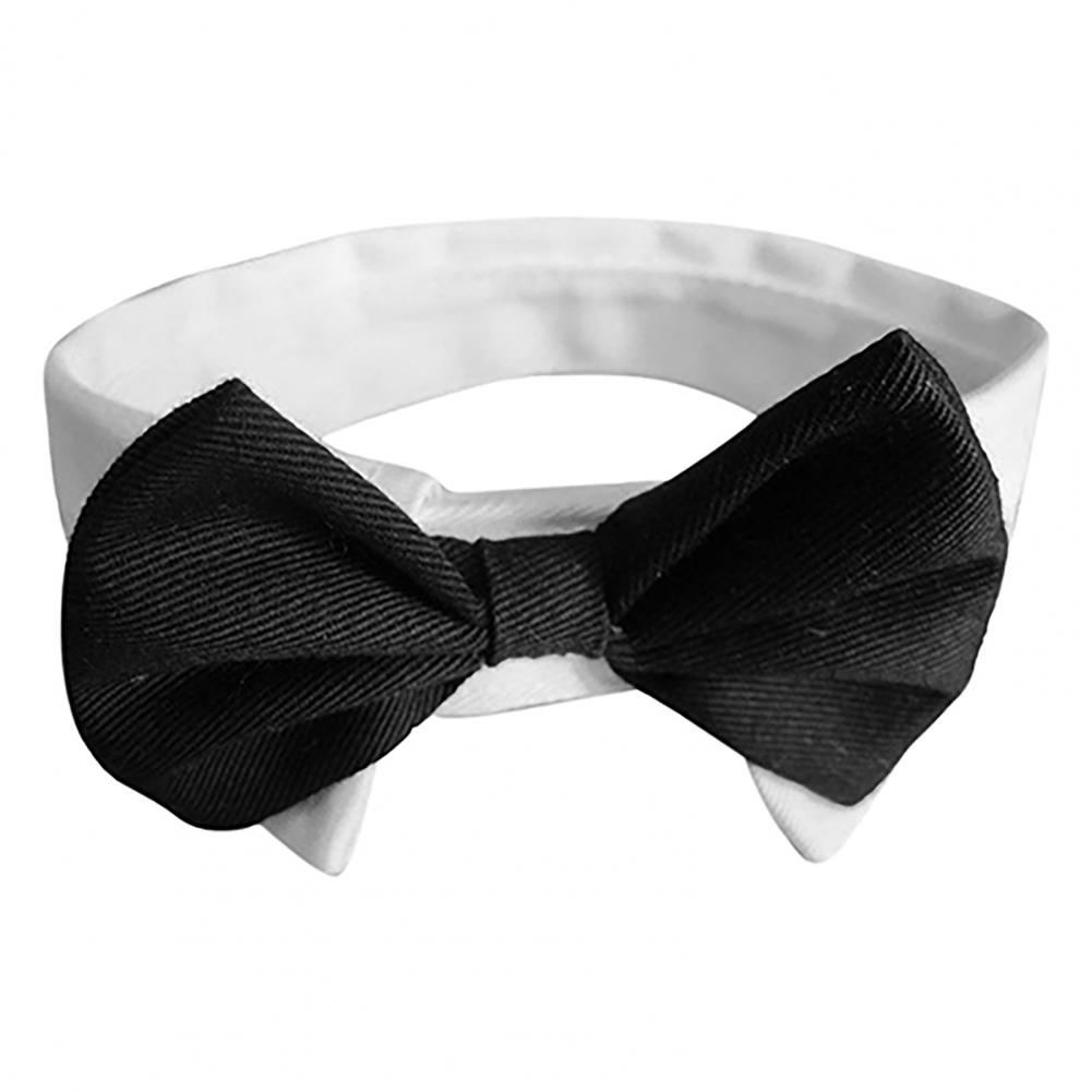 Dog Bow Tie Suit Tuxedo Costum - Summer Dog Clothing review and price